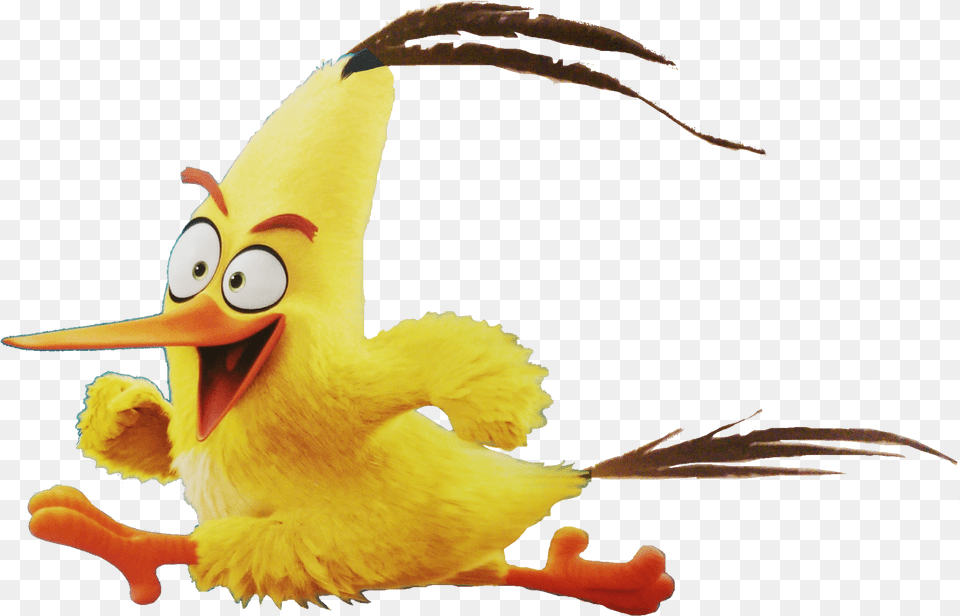Abmovie Chuck Running Angry Bird Chuck, Animal, Beak Png