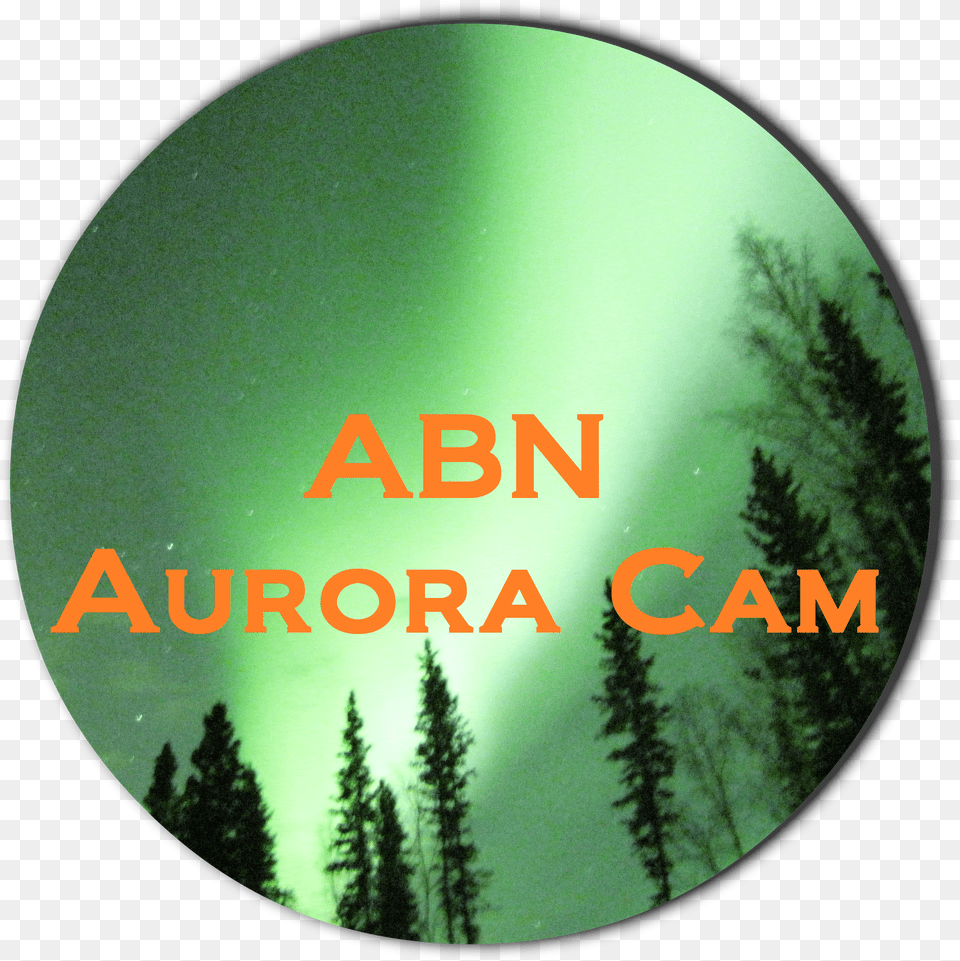 Abn Cam Logo Transparent With Black Shadow Shortleaf Black Spruce Free Png Download