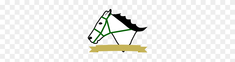 About, Halter, Animal, Mammal, Horse Png Image