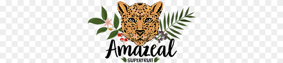 About Amazeal Superfruit Big, Leaf, Plant, Animal, Mammal Png