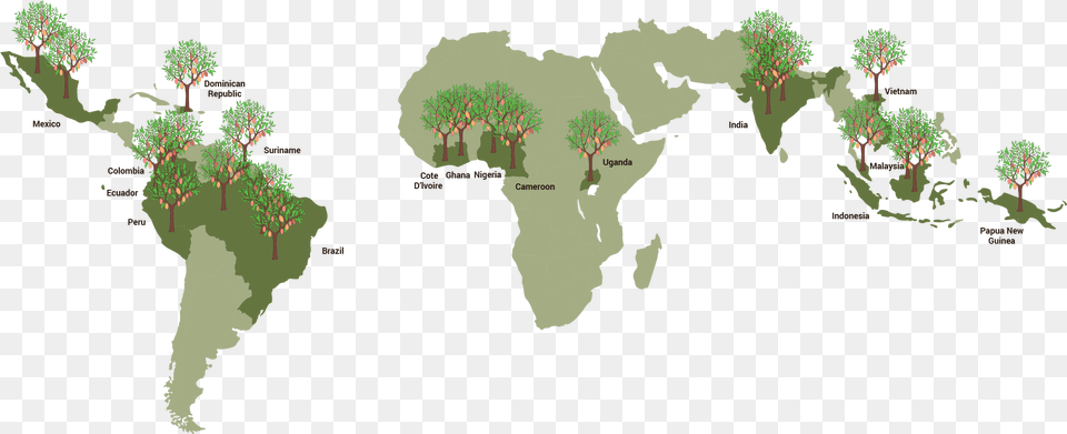 About Bean Amp Co African Union, Plant, Plot, Tree, Outdoors Free Transparent Png