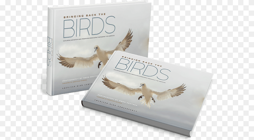 About Bird Barn Owl, Book, Publication, Animal Png