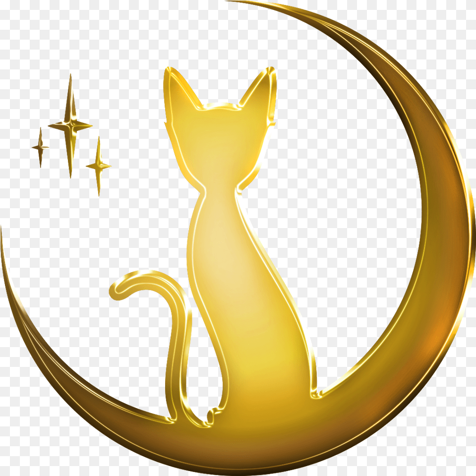 About Black Cat Apothecary Cat, Gold, Animal, Mammal, Pet Free Transparent Png