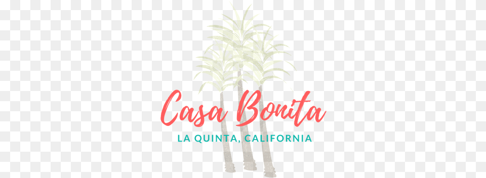 About Casa Bonita Fresh, Palm Tree, Plant, Tree, Herbal Free Png