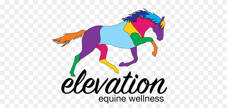 About Contact Elevation Equine Bodywork, Logo, Baby, Person, Animal Free Png Download