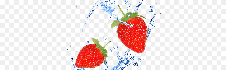 About Crystal Clear Water Fredericksburg Va Water, Berry, Food, Fruit, Plant Png Image