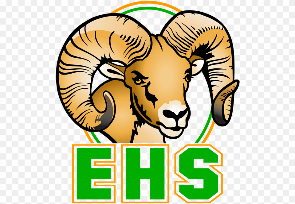 About Eastside High School School Spirit Alma Mater, Baby, Person, Face, Head Png