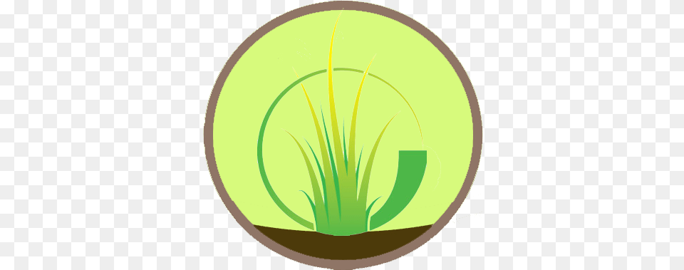 About Eco Gardens, Grass, Green, Plant, Vegetation Free Transparent Png