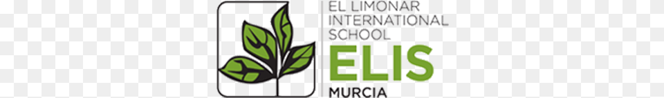 About El Limonar International School Murcia Spain El Limonar International School Murcia, Green, Herbal, Herbs, Leaf Png Image