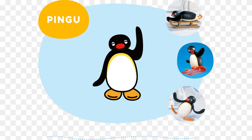 About English Site, Animal, Bird, Penguin, King Penguin Png Image