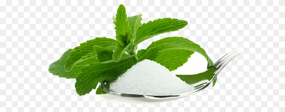 About Erythritol, Herbs, Mint, Plant, Cutlery Free Png Download