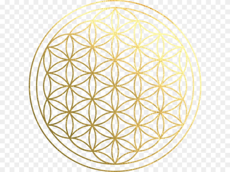 About Flower Of Life Flower Of Life Pink, Gold, Texture, Aluminium Free Png Download