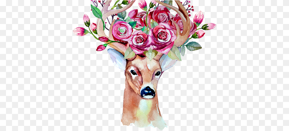About Frida Kahlo Animals With Flowers Drawing, Flower Bouquet, Art, Plant, Floral Design Png