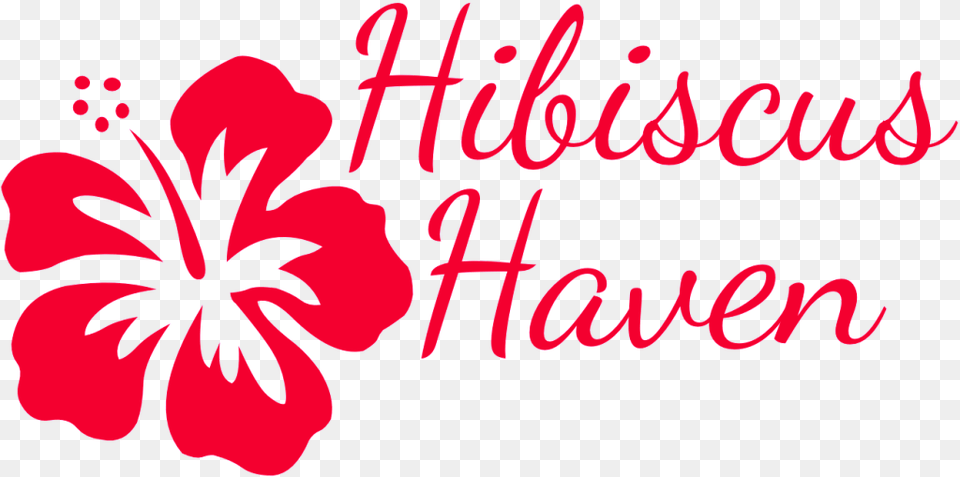 About Hibiscus Haven Hibiscus Logo, Flower, Plant, Petal Free Transparent Png