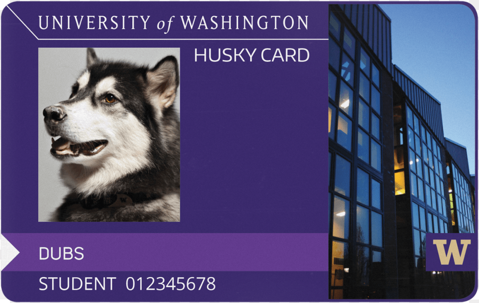 About Husky Card Services3 University Of Washington Dog, Animal, Canine, Mammal, Pet Free Png