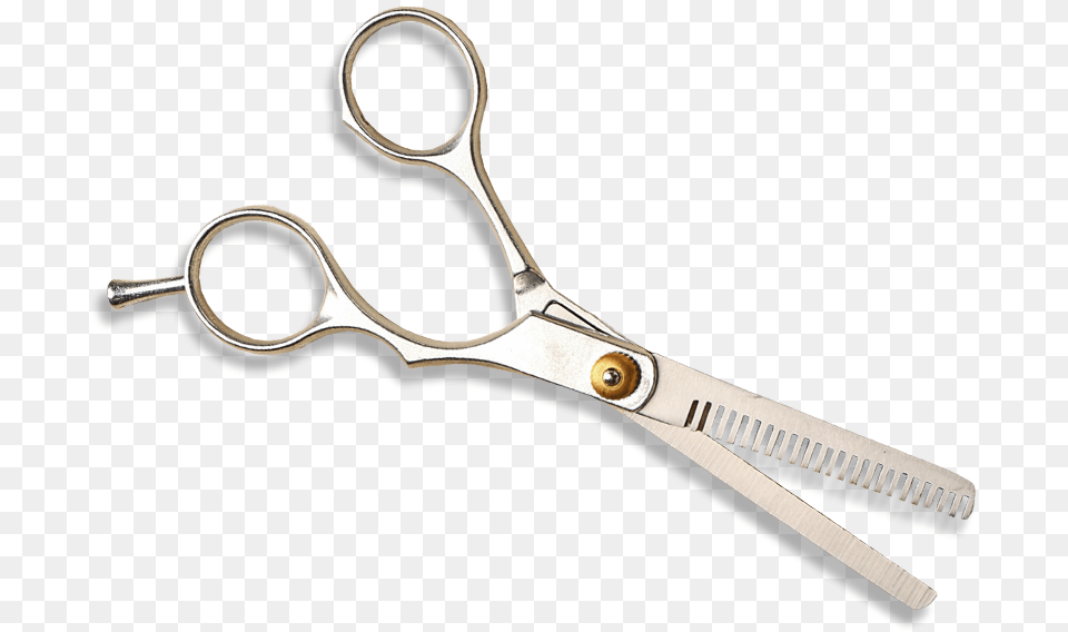 About Kelsey Salvati Scissors, Blade, Shears, Weapon Free Png Download
