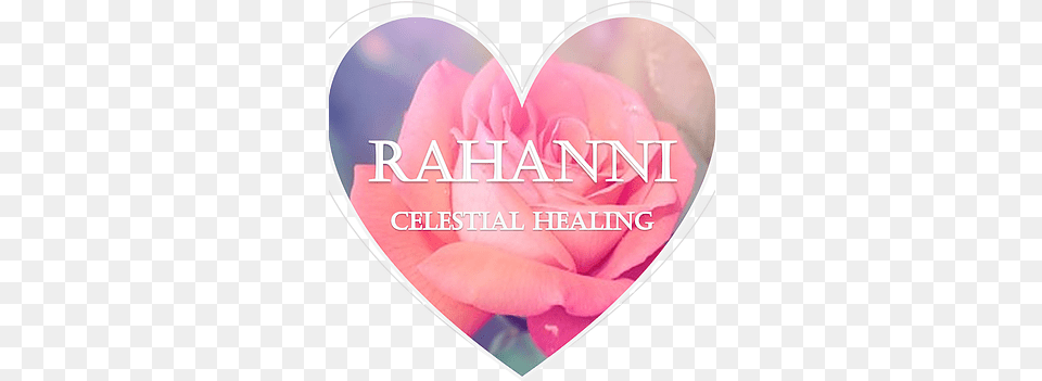 About Me United States Rahanni Celestial Healing Usa Heart, Flower, Petal, Plant, Rose Png