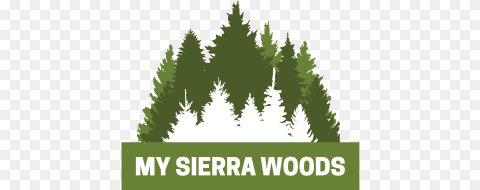 About My Sierra Woods Facebook, Vegetation, Conifer, Tree, Fir Png Image