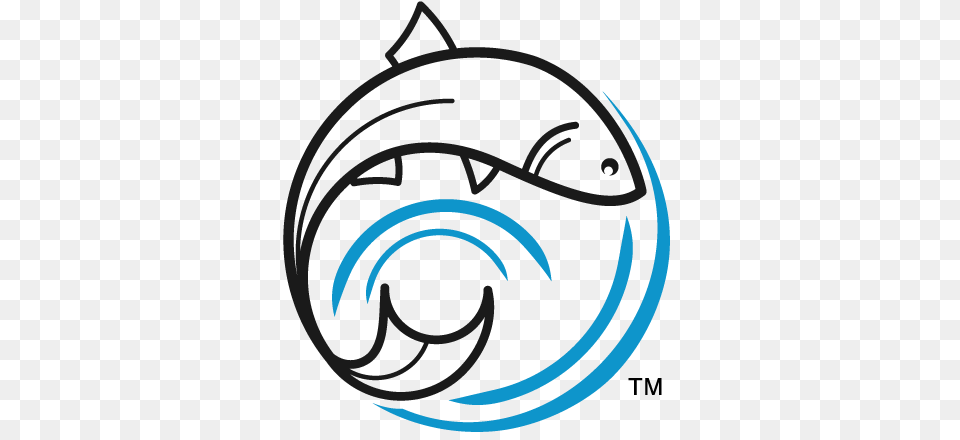 About One Fish Foundation, Sphere Free Transparent Png