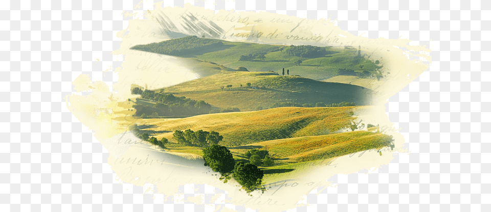 About Painting, Grassland, Outdoors, Nature, Scenery Free Png Download