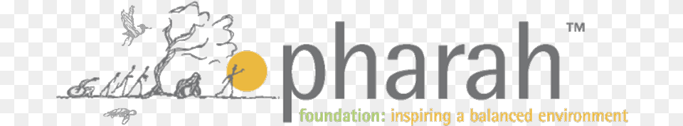 About Pharah Foundation, Outdoors, Night, Nature, Astronomy Free Png Download