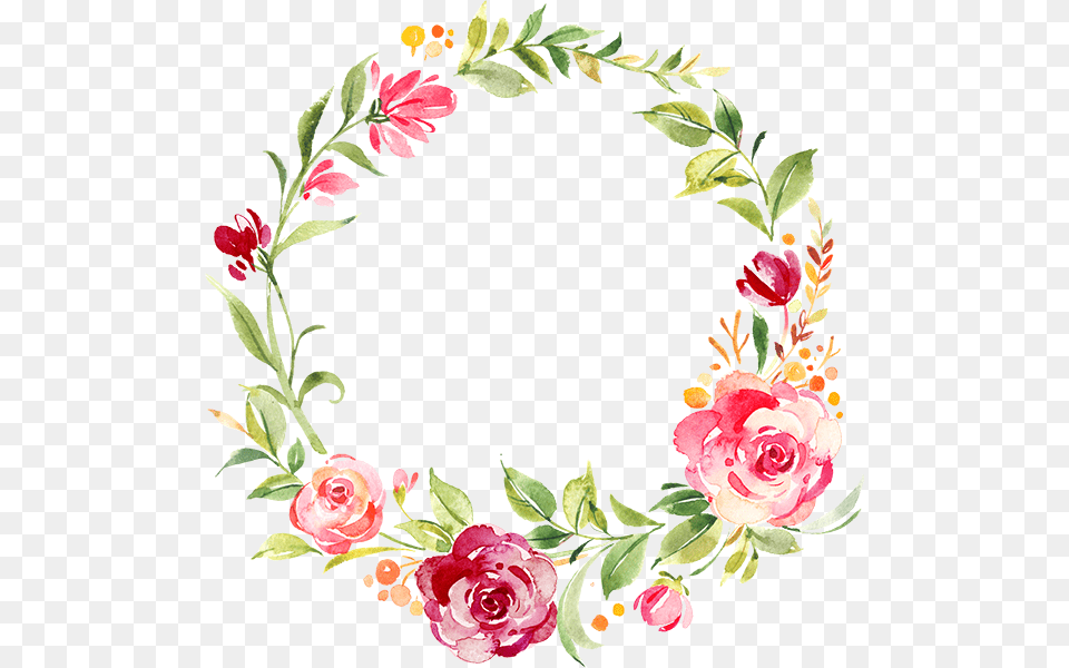About Placeholder Garden Roses, Art, Floral Design, Graphics, Pattern Free Png