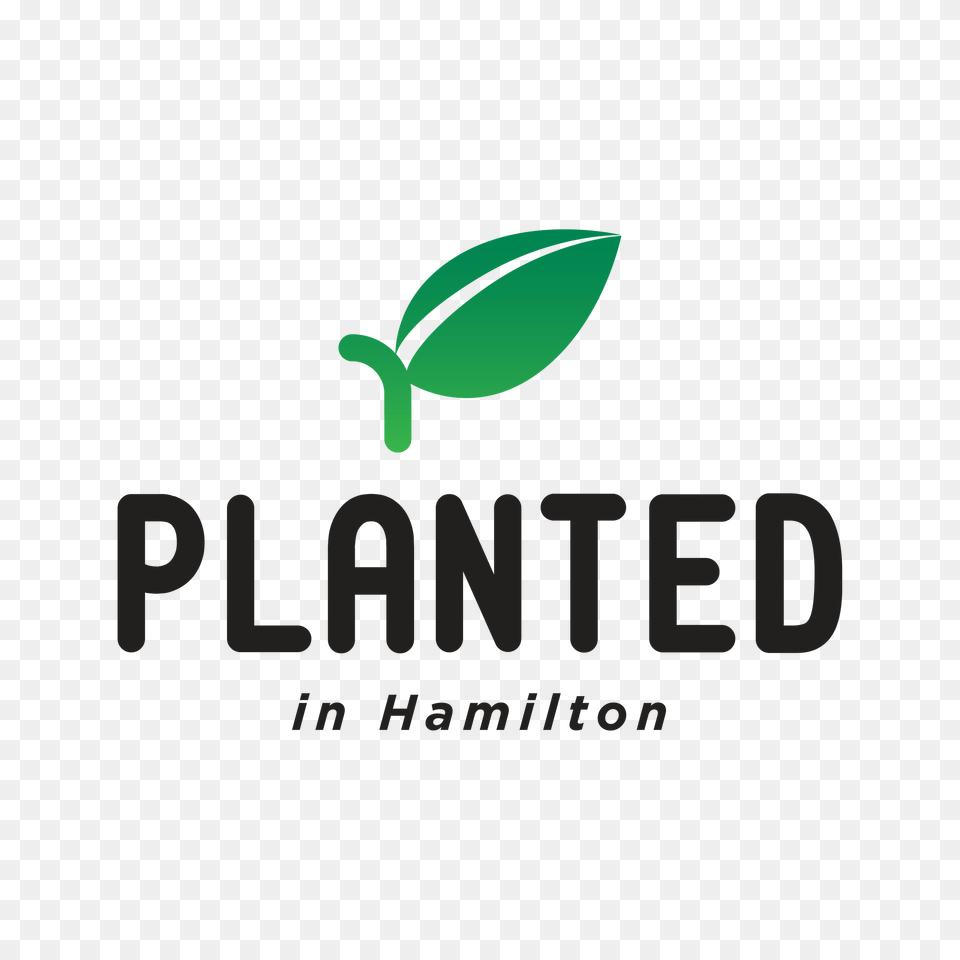 About Planted In Hamilton, Green, Herbal, Herbs, Plant Png Image