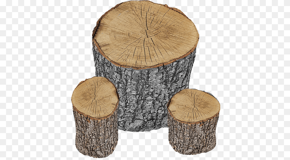 About Post Oak Stump Sizes Range From 12quot To 40quot Bulk Tree Stump, Plant, Tree Stump, Tree Trunk Free Png