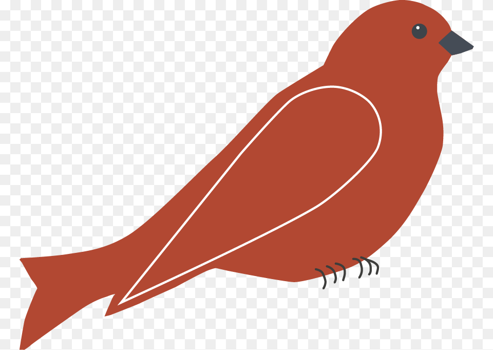 About Red Bird Landscapes Edible Gardens, Animal, Fish, Sea Life, Shark Png