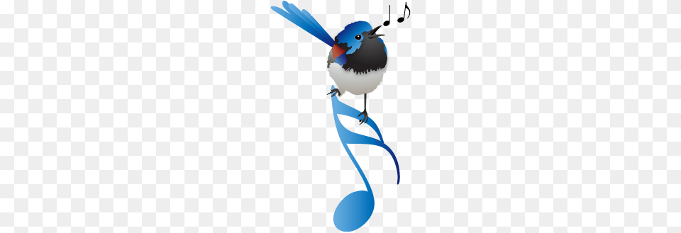 About Sight Singing School, Animal, Bird, Jay, Wren Free Png