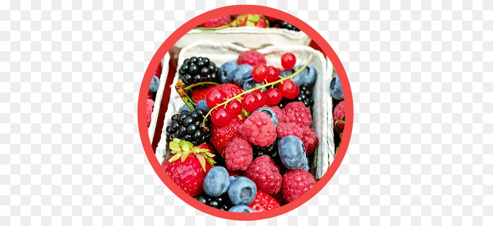 About Strawberry Lodge, Berry, Blueberry, Food, Fruit Free Transparent Png