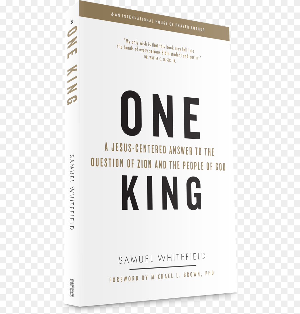 About The Book One King A Jesus Centered Answer, Publication, Advertisement, Poster, Novel Free Png