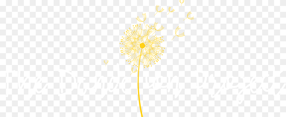About The Dandelion Project Free Png