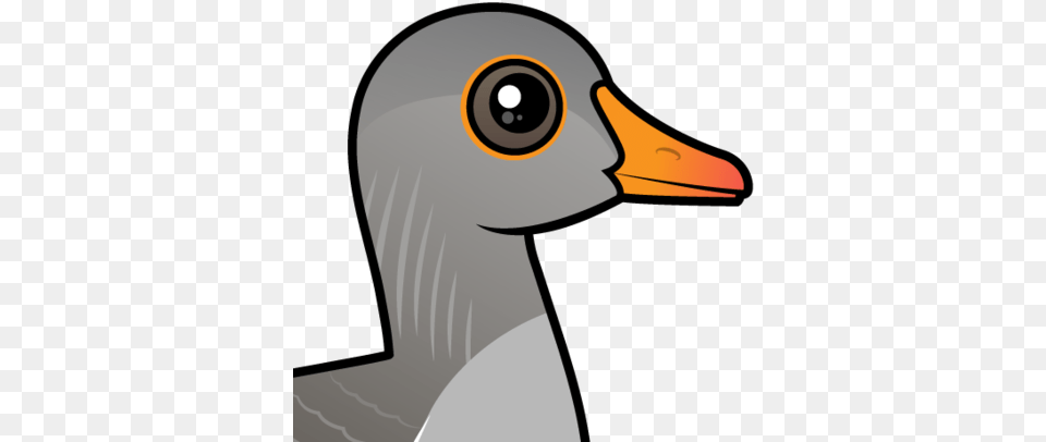 About The Greylag Goose Greylag Goose Cartoon, Animal, Bird, Waterfowl, Beak Free Transparent Png