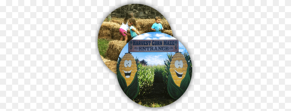 About The Hayride Pennsylvania, Agriculture, Nature, Grass, Field Free Png