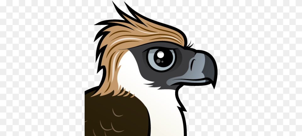 About The Philippine Eagle Philippine Eagle Cartoon, Animal, Beak, Bird, Vulture Png
