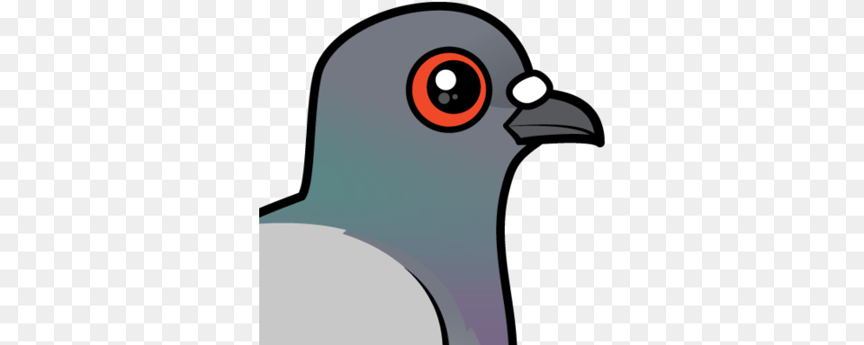 About The Rock Pigeon Rock Dove, Animal, Beak, Bird Free Png