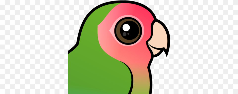About The Rosy Faced Lovebird Peach Faced Love Bird Cartoon, Animal, Beak, Parakeet, Parrot Png Image