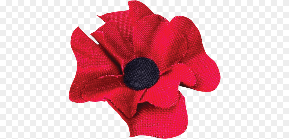 About The School Poppy, Accessories, Anemone, Flower, Plant Free Png Download