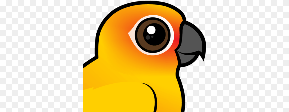 About The Sun Parakeet Cartoon Sun Conure, Animal, Beak, Bird, Person Free Transparent Png