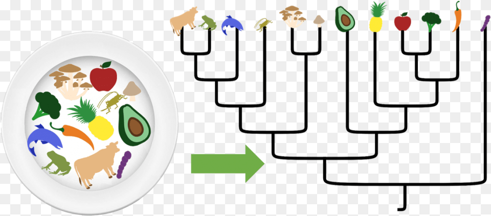 About The Tree Of Life Tasting Fm Logistic, Art, Food, Meal, Plate Png