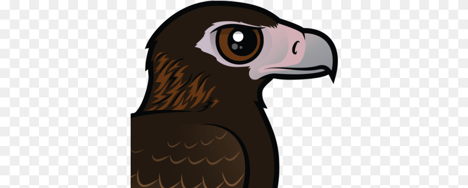 About The Wedge Tailed Eagle Wedge Tailed Eagle Cartoon, Animal, Beak, Bird, Vulture Png Image