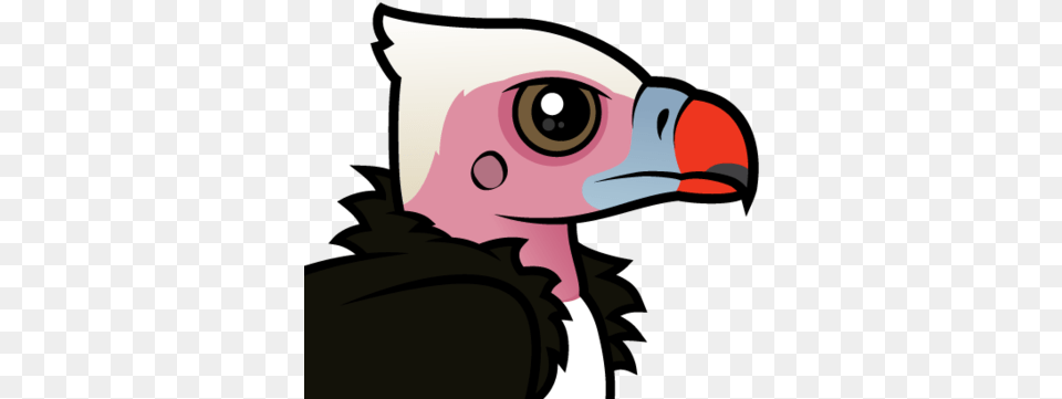 About The White Headed Vulture White Headed Vulture Cartoon, Animal, Beak, Bird, Baby Free Png