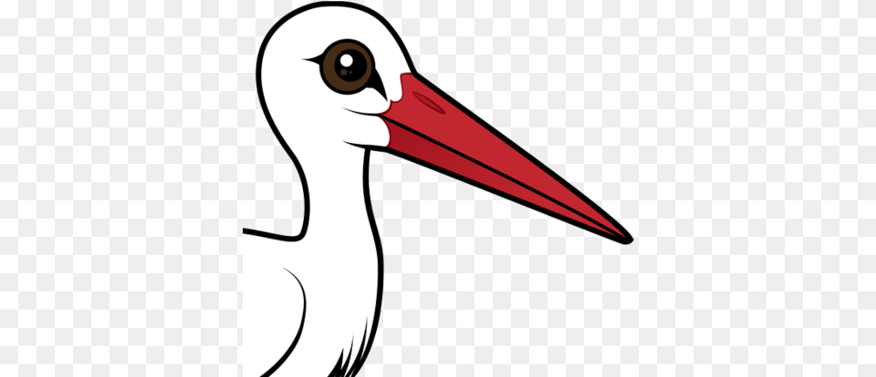About The White Stork White Stork In Europe, Animal, Beak, Bird, Waterfowl Png Image