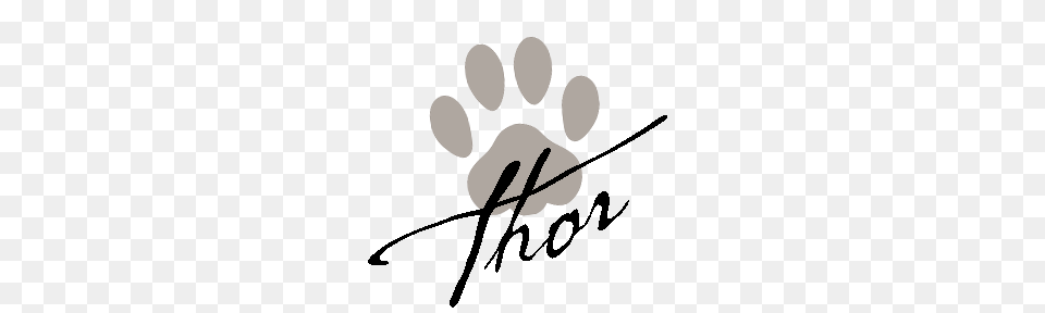About Thor Who Is Thor What Thor Told Me, Handwriting, Text, Signature Free Transparent Png