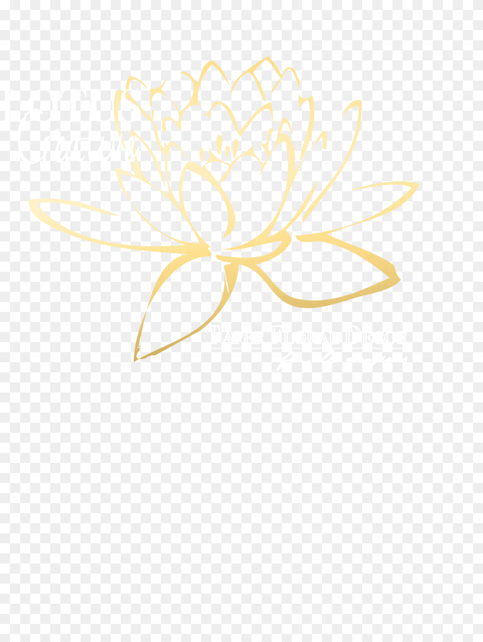 About Us, Plant, Flower, Dahlia, Daisy Png