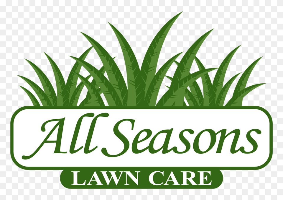 About Us All Seasons Lawn Care Akron Ohio, Food, Leaf, Plant, Produce Free Png