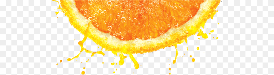 About Us Art Techniques Pvt Ltd Clementine, Citrus Fruit, Food, Fruit, Grapefruit Free Png