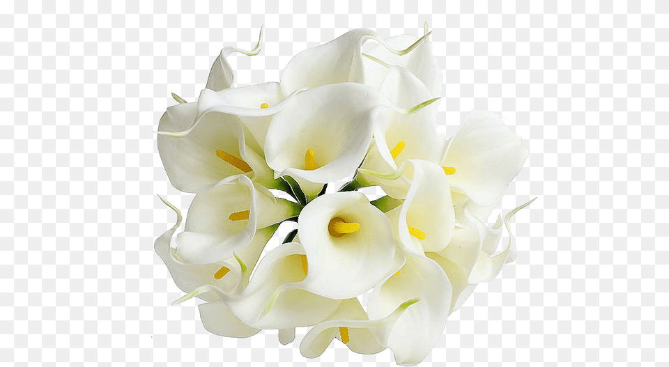 About Us Calla Lily Flowers, Flower, Flower Arrangement, Flower Bouquet, Petal Png Image