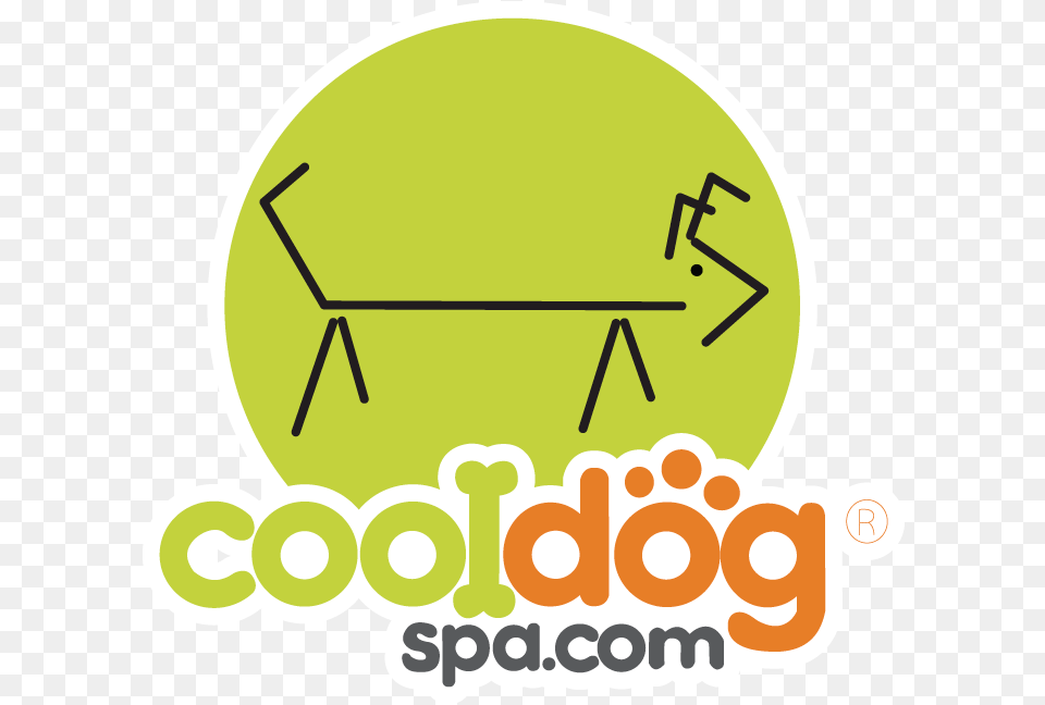 About Us Cool Dog Spa Shampoo, Toy, Seesaw, Grass, Plant Free Png Download